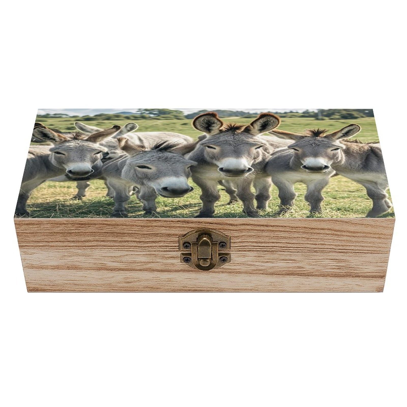 asbwuo Donkey Animals Wood Keepsake Box Wooden Box with Hinged Lid