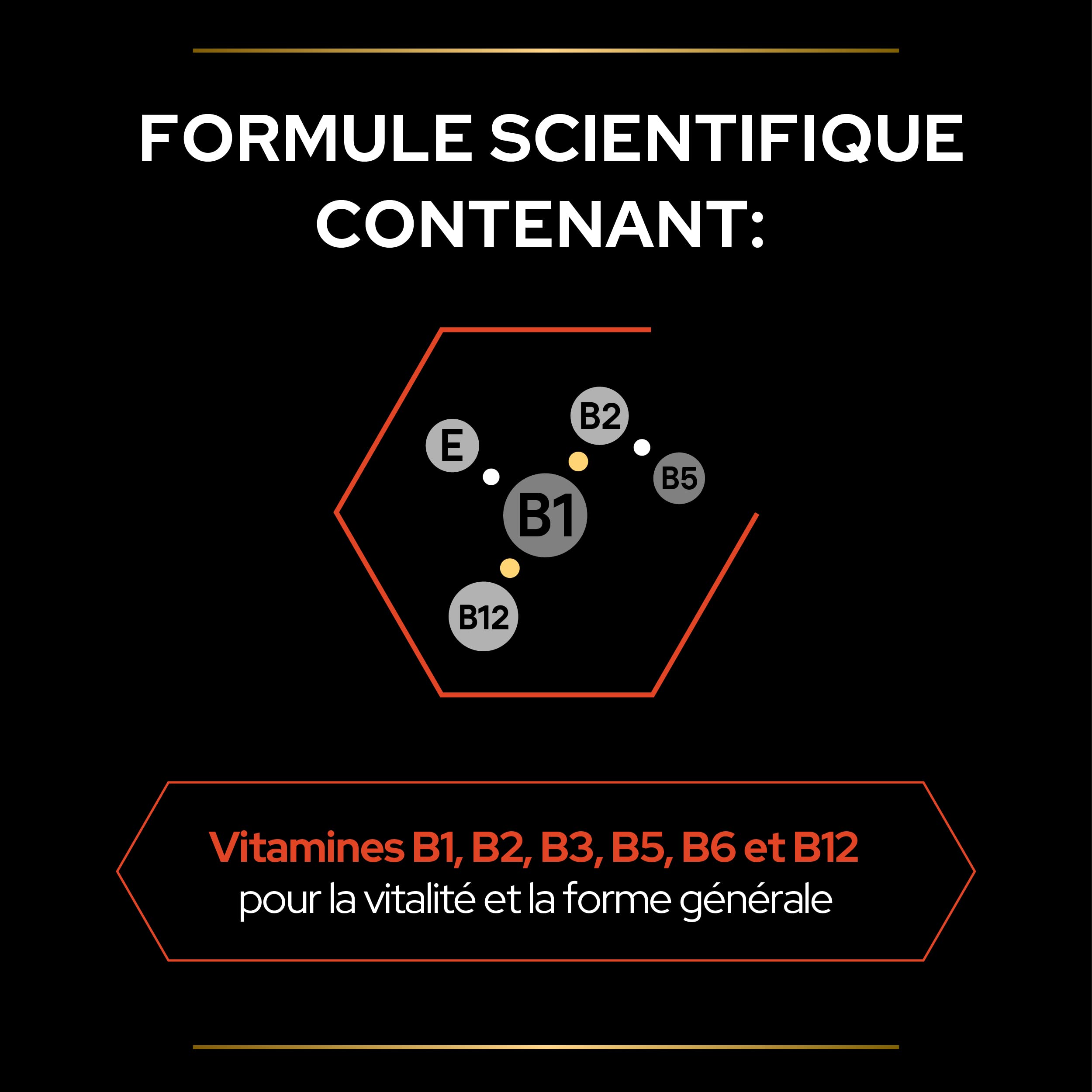 PURINA PRO PLAN | Multivitamins+ | Chat | Aliment complémentaire pour Chat Adulte | Favorise la libération d'énergie pour la vitalité et la bonne santé générale | Poudre | Boîte de 60g