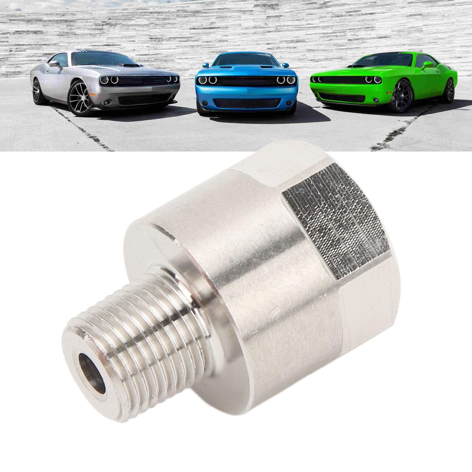 M10 x 1,0 adattatore per misuratore femmina, adattatore manometro olio NPT da 1/8 pollici maschio a M10 x 1,0 femmina per olio carburante pressione acqua misuratore di temperatura da rimuovere