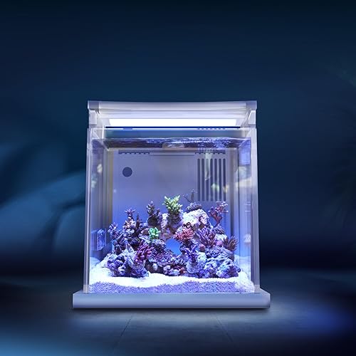 Miniatura 4 de MagTool Mini acuario de arrecife acrílico de escritorio todo en uno de 0.7 galones premium con sistema de filtro inferior y luz LED (UF-01B)