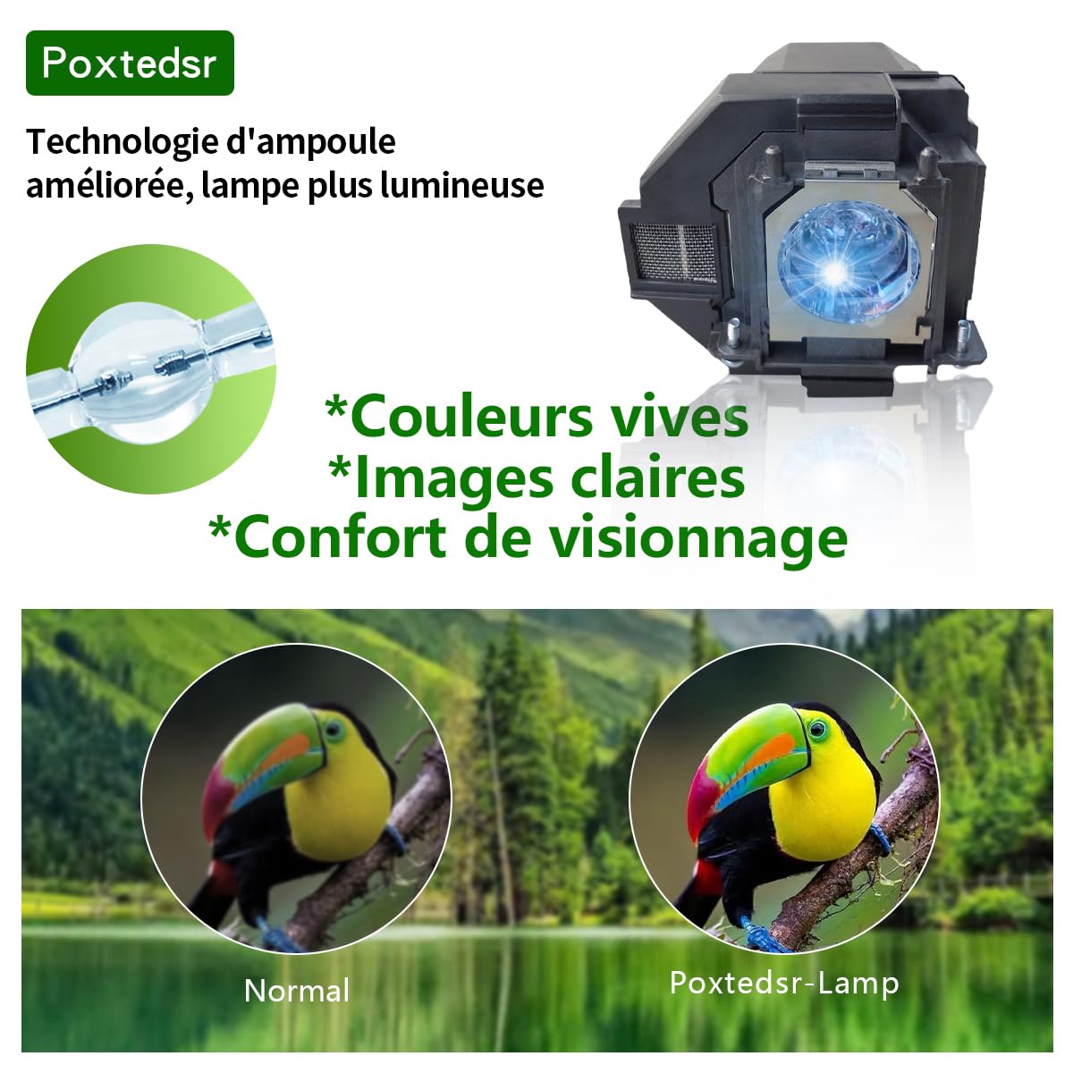 EL PLP96 Lampada Proiettore con Alloggiamento Compatibile con Epson PowerLite Home Cinema ex3280 ex5280 ex7280 ex9230 ex9240 880x 119W 2200 2250 2350