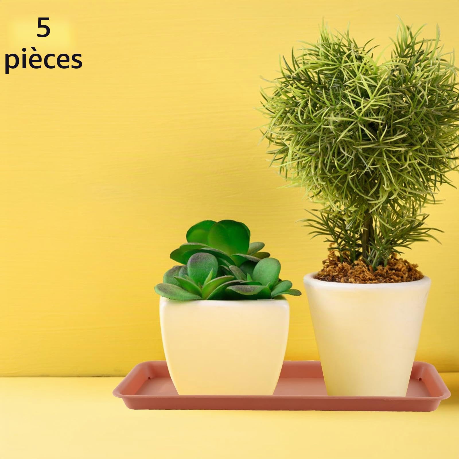 5X Soucoupes pour Plantes, Plateaux de Jardinières Rectangulaires, Soucoupe pour Pot de Fleurs en Plastique pour Cour, Jardin, Intérieur et Extérieures, 48 cm x 19 cm, Rouge