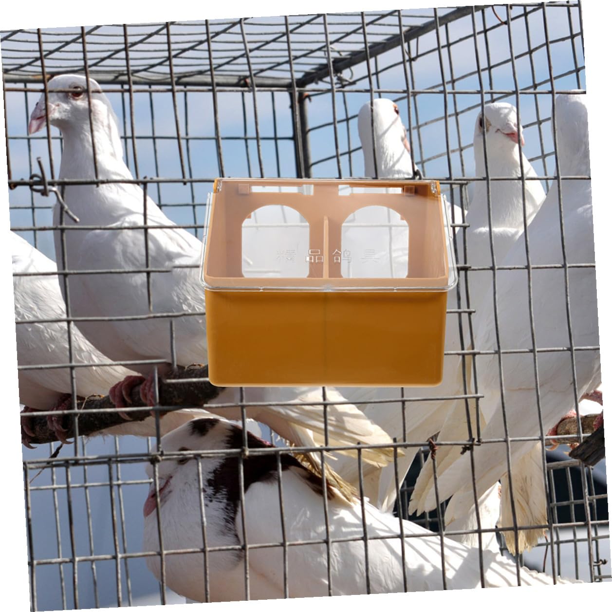 SHINEOFI 3 pièces Boîte Mangeoire à Suspendre pour Perroquets avec Couvercle Distributeur Alimentaire Double Compartiment Plastique pour Cage à Oiseaux Accessoire Pratique Antigaspillage
