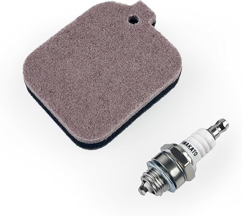 BG55 BG85 Air Filter 4229-120-1800