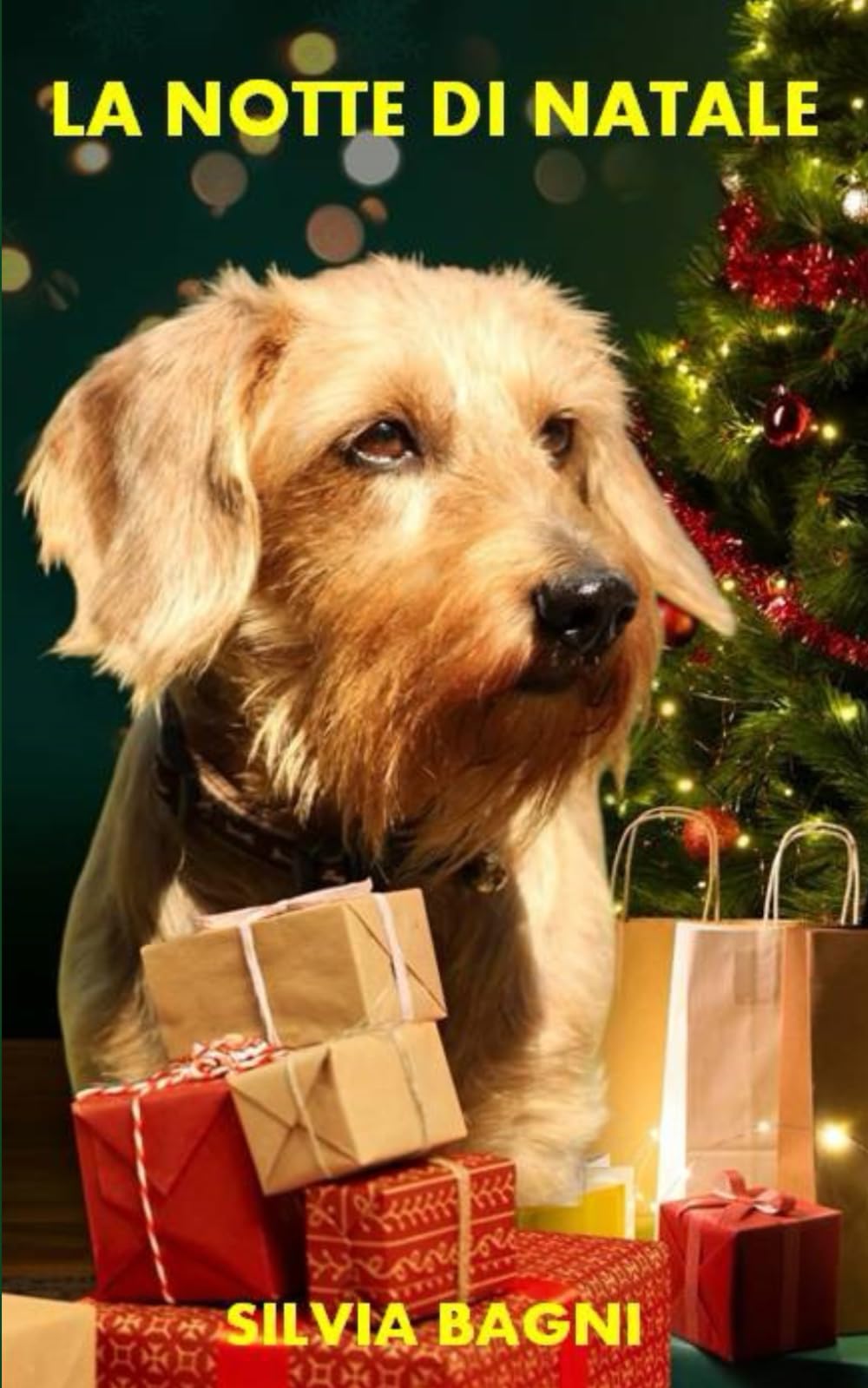 La notte di Natale