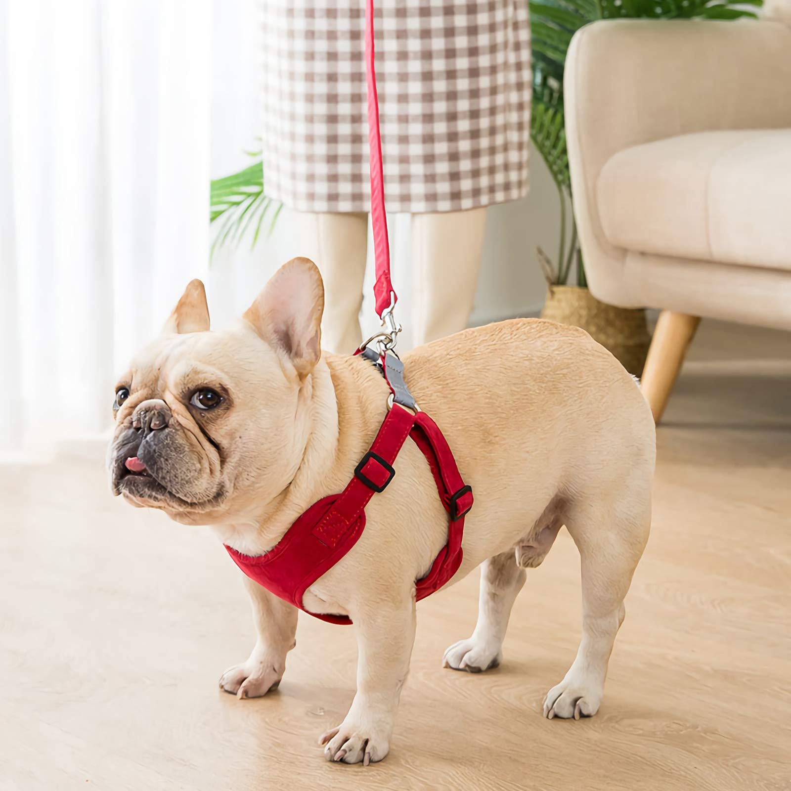 Gepolstertes Reflektierendes Hundegeschirr GOOPAWS – Leicht, Verstellbar, Für Kleine Bis Große Hunde