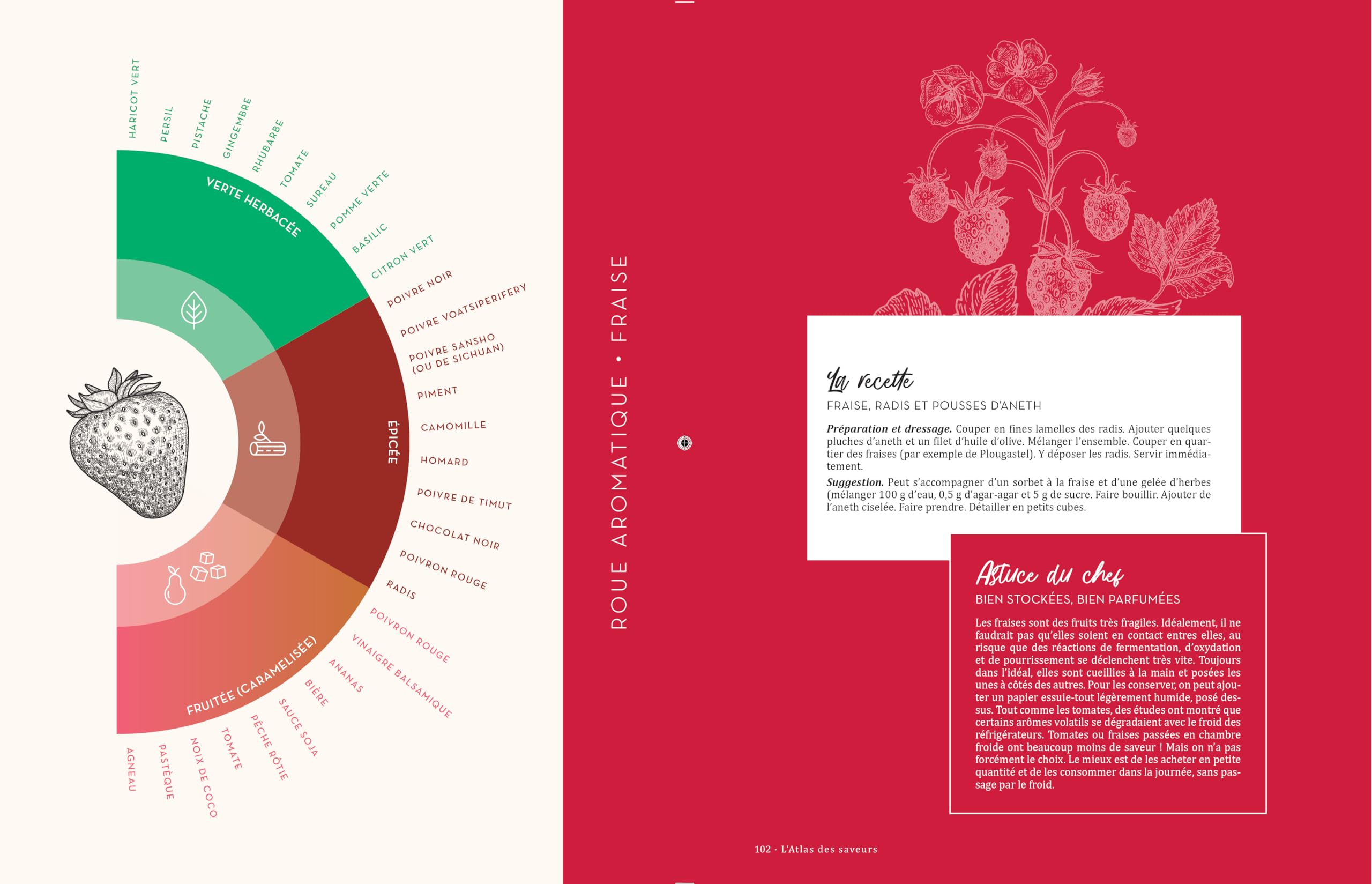 Atlas des saveurs: 1500 accords créatifs et des recettes inspirantes