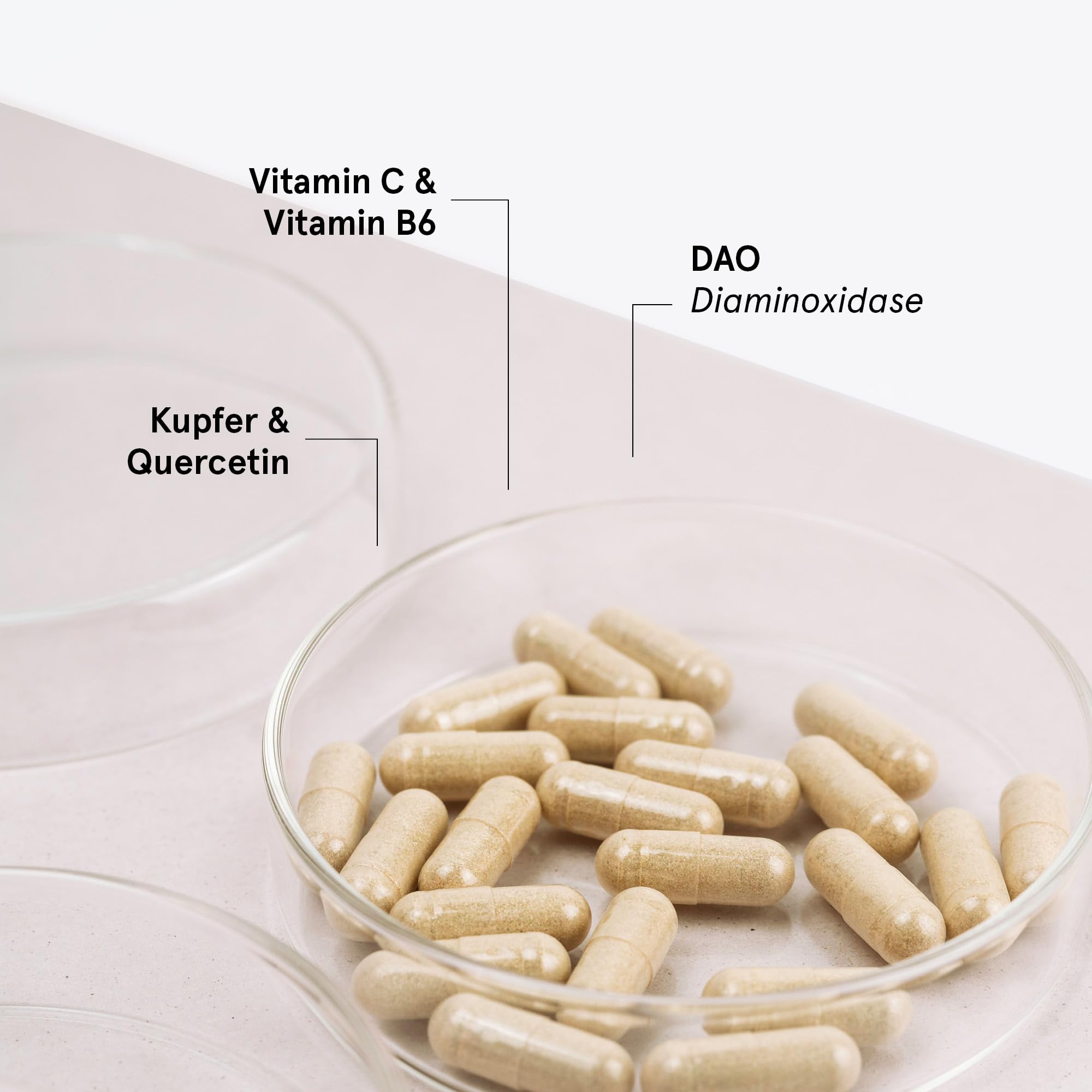 Hista Plus Kapseln mit DAO | Schnelle Hilfe bei Histaminintoleranz | Tabletten mit Quercetin & Vitamin C, B6 und Kupfer | Apothekenqualität | 60 DAO Kapseln
