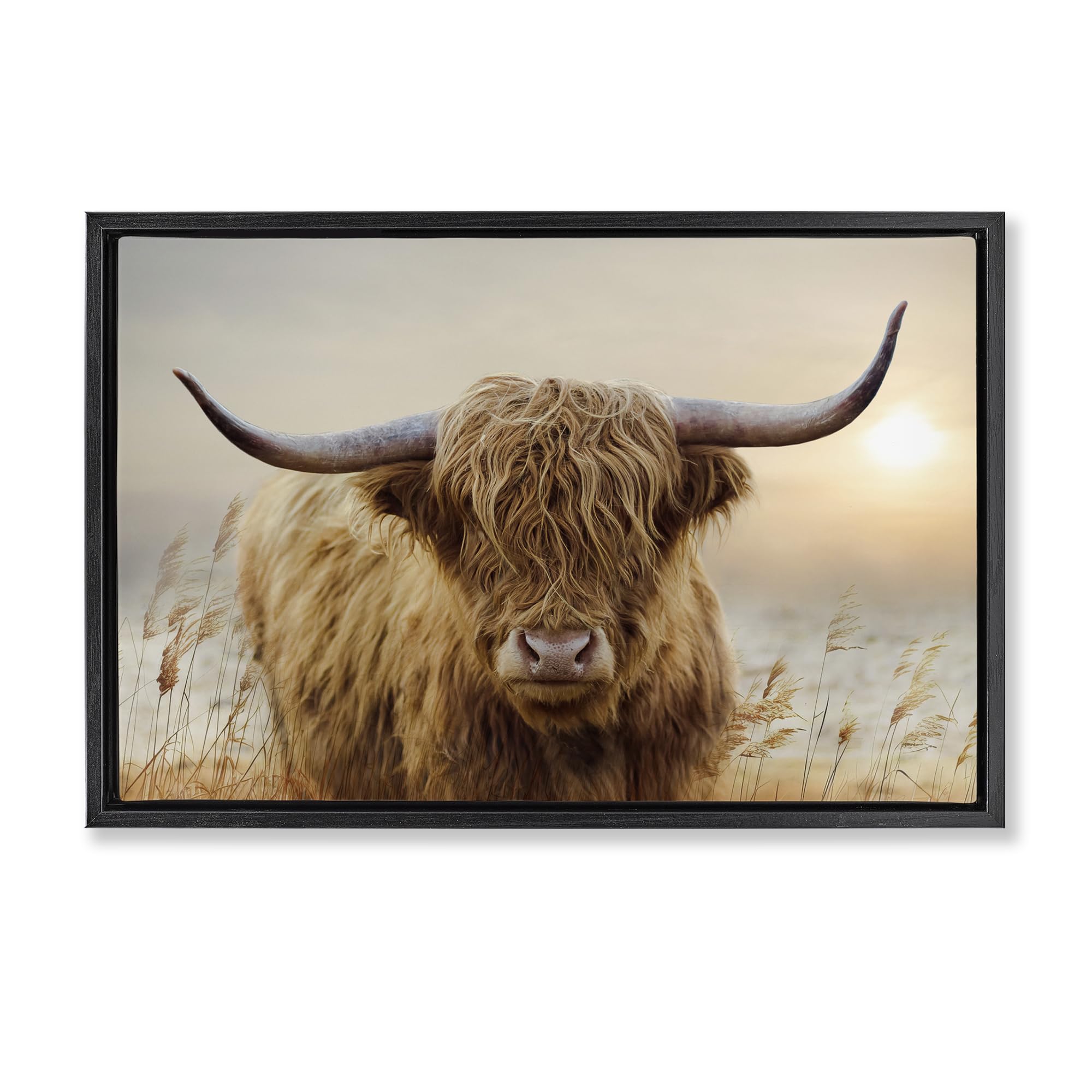 Stupell Industries 'Highland Cow & Warm Sunset', Floating Frame Canvas Art, Black, 31 x 21 Inches, Easy to Hang and Sturdy, Made in USA, by CAD Designs