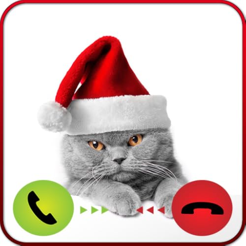 Call From Christmas Cat