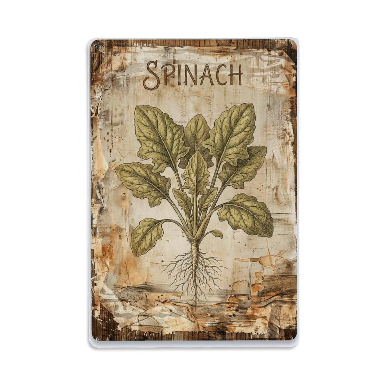 Fqnyr Style Spinach Leafy Green Metal Tin Sign Plaque Wall Decor For Cafe, Club Bar, Office, Home Garden Metal Poster 8X12inch