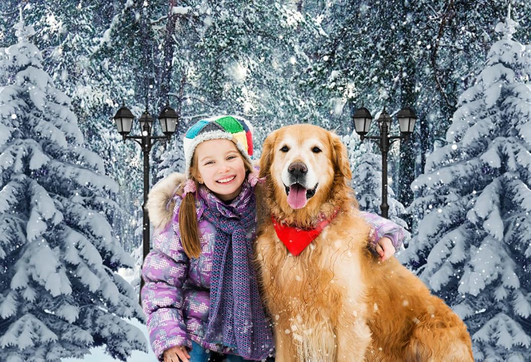 LTLYH Winter Snow Scenery Snowman Photography Backdrop White Snow Forest Landscape Background Christmas Eve Family Party Decoration Photo Studio Props Banner 074