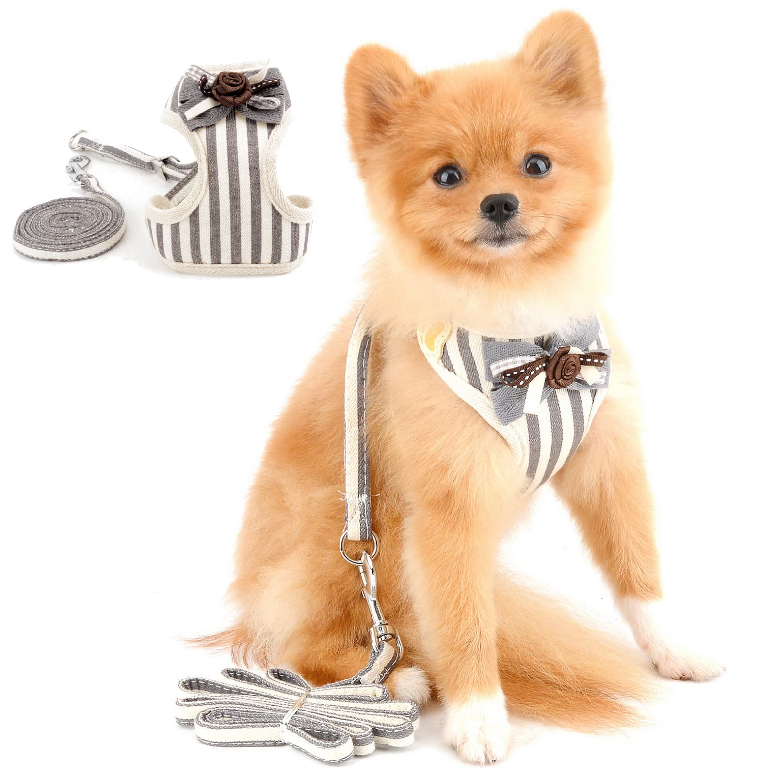 PAIDEFUL Striped Soft Mesh Harness for Small Medium Dogs Pet Cats Leash Set No Pull No Choke Step-in Escape Proof Padded Vest for Puppy Girls Boys Adjustable Lead for Chihuahua Yorkie Outdoor