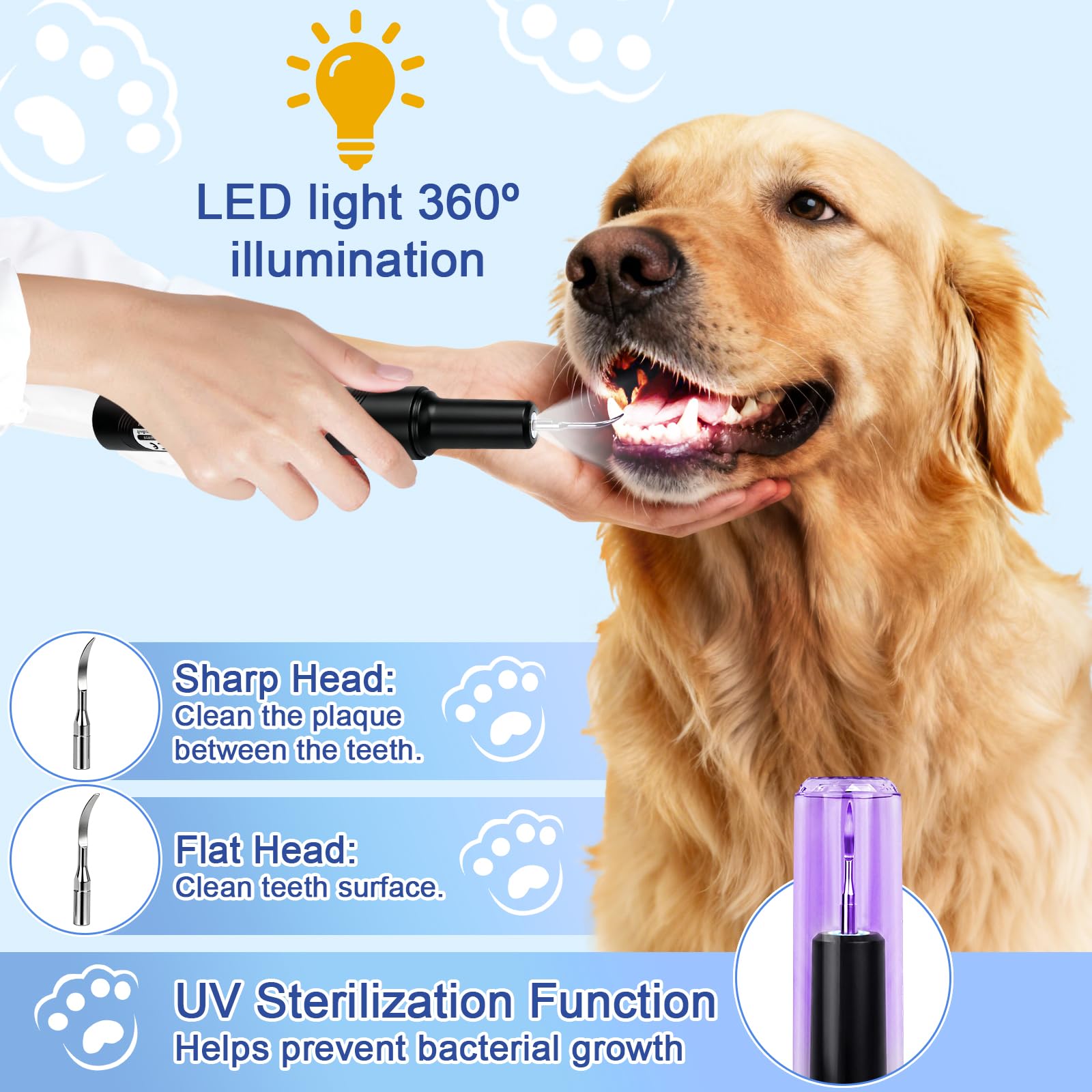 ETACCU Hund Zahnsteinentferner, Ultraschall Zahnreiniger für Hunde und Katzen mit Sensortechnologie, 5 Modi, LED-Licht, USB-C, IPX6 Wasserdicht, Elektrisches Zahnreinigungsset, Schwarz