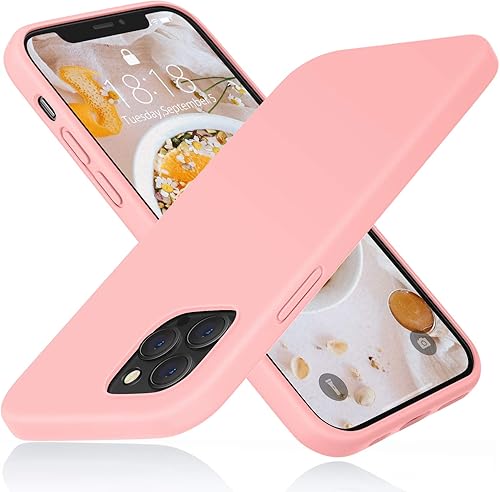 DTTO Funda compatible con iPhone 1212 Pro, a prueba de golpes, de silicona serie Romance protección mejorada de cámara y pantalla con cojín de