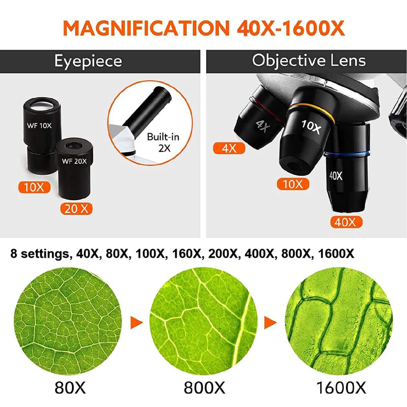 Microscopio biológico para Estudiantes 1600X Microscopio Compuesto Microscopios LED duales con Adaptador de teléfono para Laboratorio de Ciencias Estudio en el hogar
