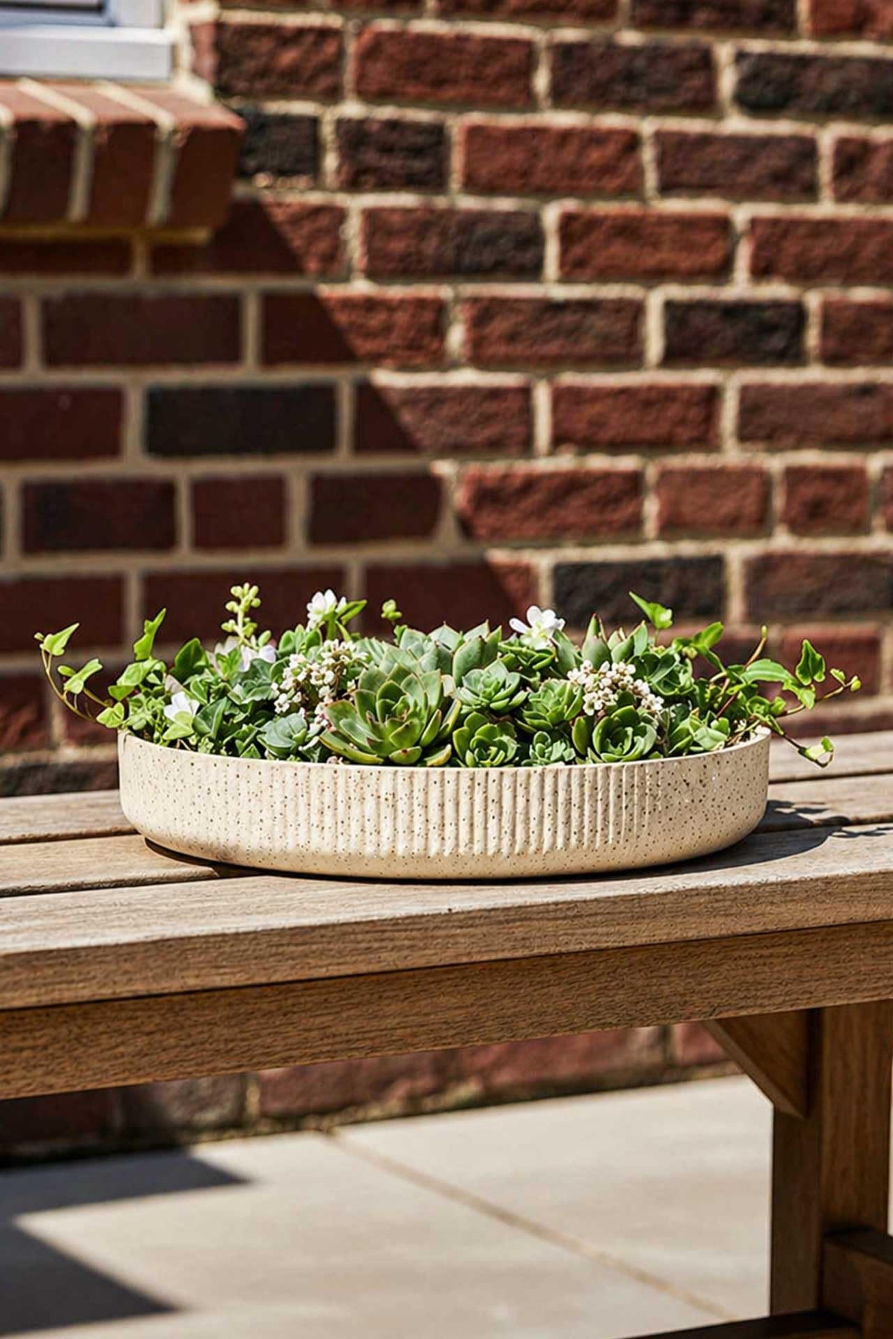 VIVANNO Pflanzschale Rund Fiberglas 34x6 cm Dekoschale Flach für Außen &