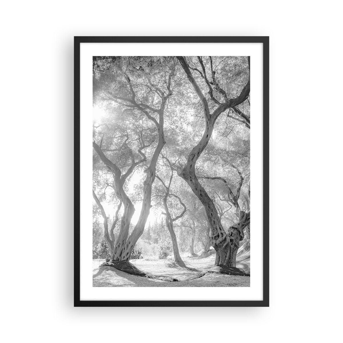 ARTTOR Poster Wandbild Kunstdruck 50x70cm Botanik Schwarz-Weiß - 5354 - P2B | Wald Winter Bäume Vertikal mit schwarzem Rahmen Wohnzimmer Schlafzimmer Küche Büro Wanddeko Kunstposter ARTTOR
