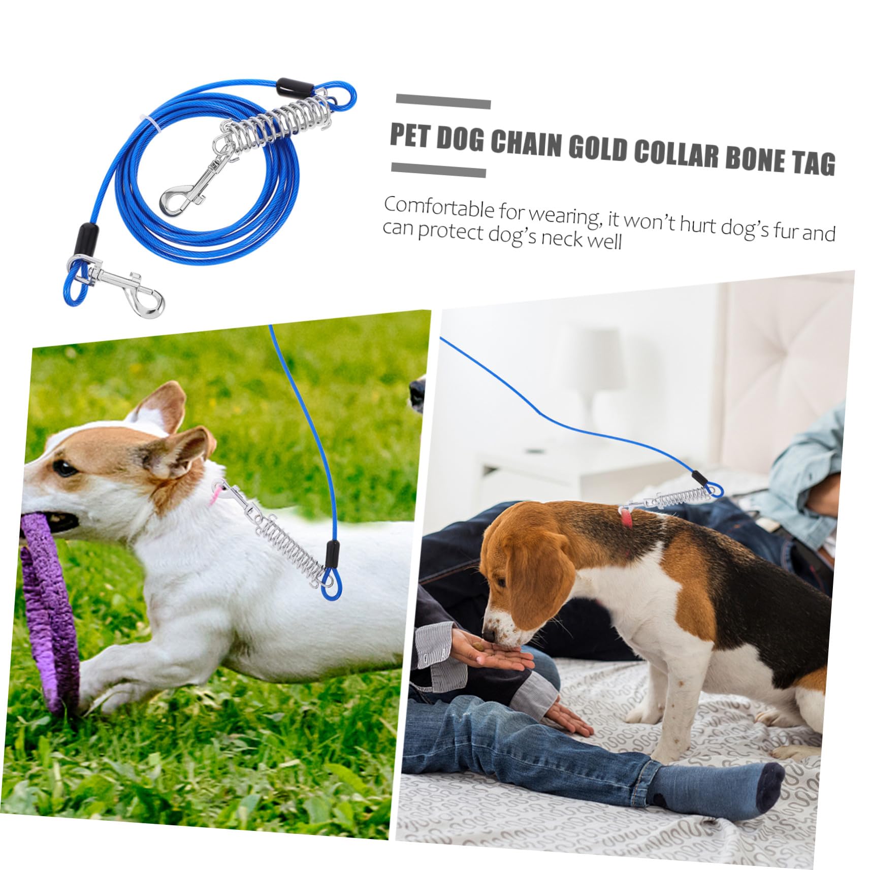 Laisse Chien Solide avec Crochet Pivotant et Ressort Amortisseur Câble pour Petit et Moyen Animal Attache Rapide et Flexible sans Nœuds