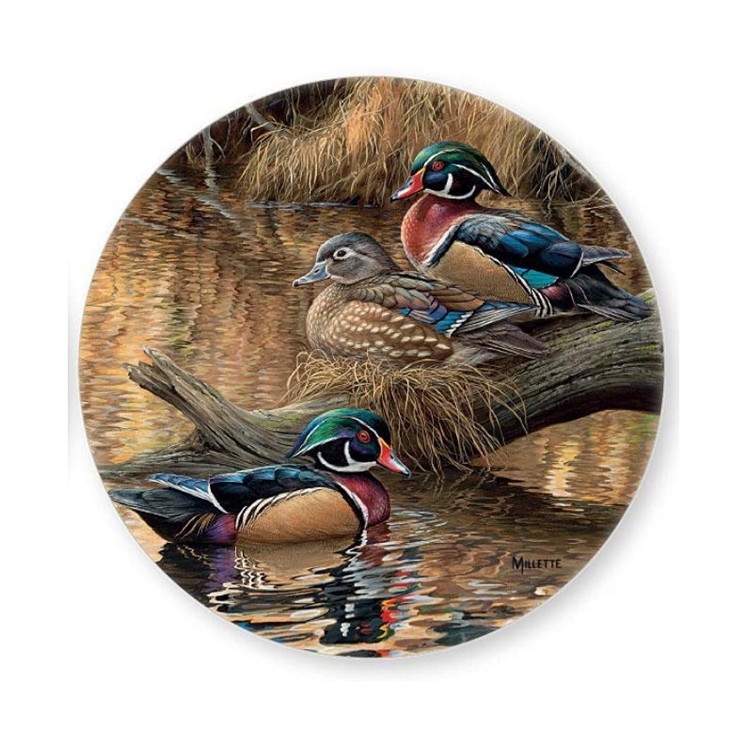 Wood Duck Coasters Coasters by Rosemary Millette