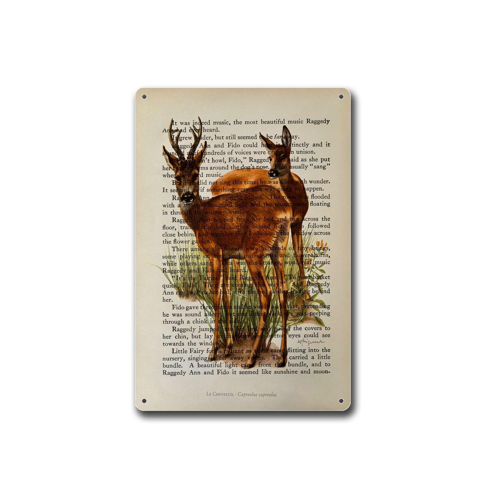 Anceky Tin SignVintage Roe Deer Antique Animal Dictionary Wildlife Illustration And Wall DecorSuitable for Home Bar Cafe Farmhouse Room Decor 8x12 inch Tin Sign