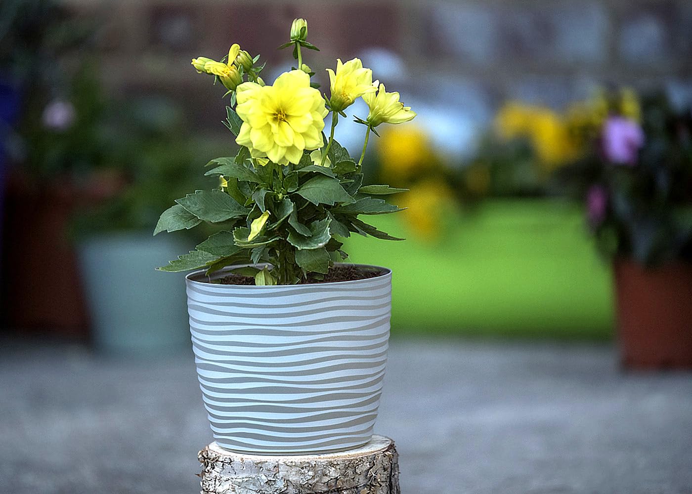 Home Garden Ornaments Plant Pots Indoor, Set of 3 Plastic Flower Pots, Unique Wave Design, No Drainage Holes - Image 4