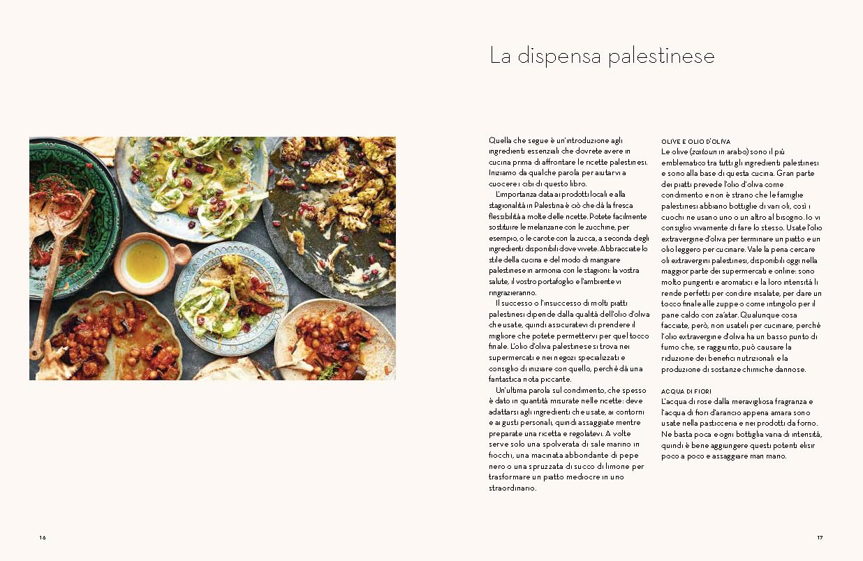 Zaitoun. Ricette e storie della cucina palestinese