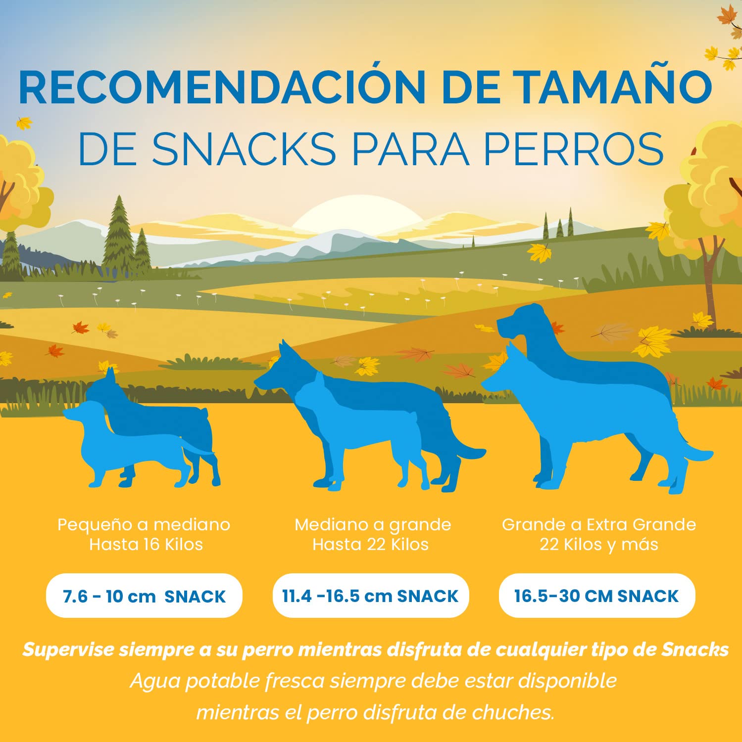 123 Treats Orejas de Cerdo Enteras para Perros masticables - Orejas de Cerdo 100% Naturales golosinas para Perros (100 Unidades)