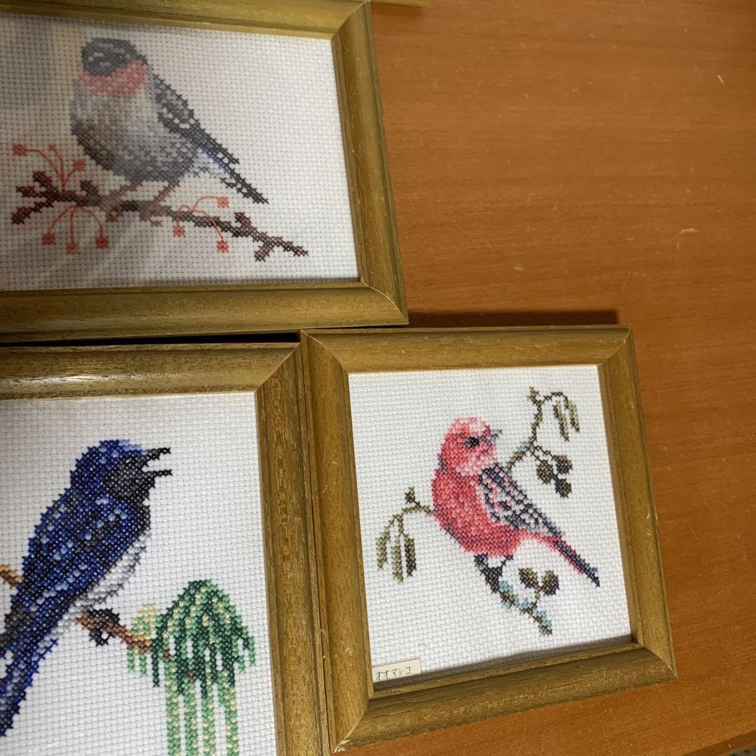 Amazon.co.jp: 日本の美しい野鳥が歌う バードウォッチング気分の  