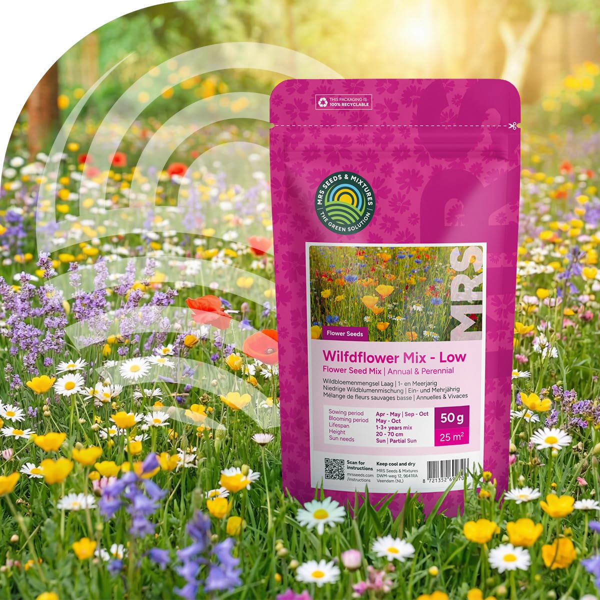 MRS Mélange de fleurs sauvages basses 1 kg pour 500 m² - 31 variétés annuelles et vivaces - Graines de fleurs des champs - Attire abeilles, bourdons et papillons