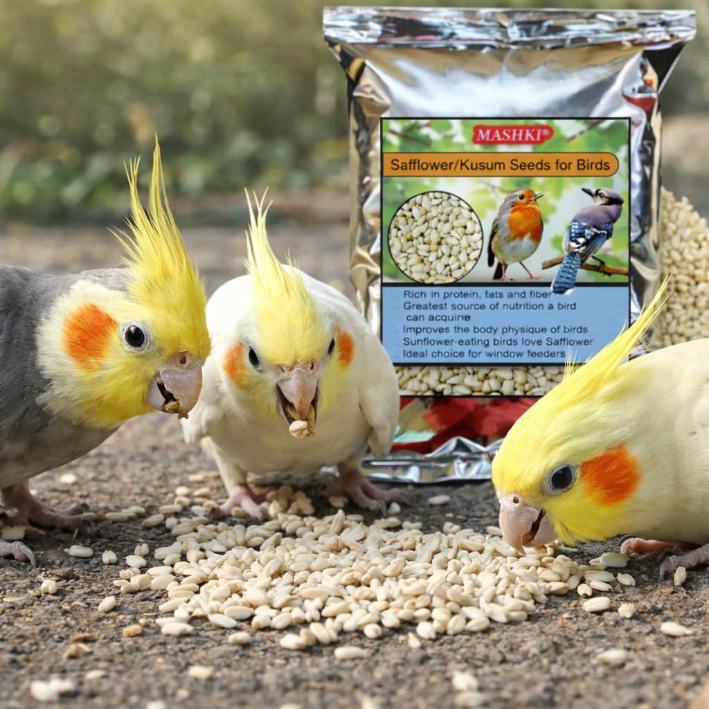 MASHKI Safflower Seeds Dry and Clean Kusum beej Seeds for Bird Food Songbirds Natural Nutrition Food (3 KG),All Life Stages 3