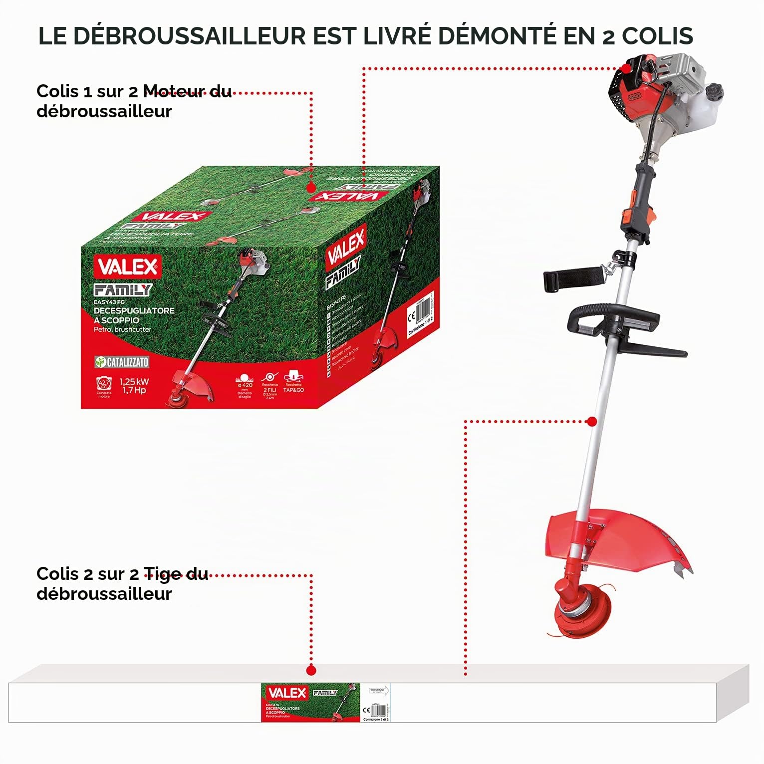 Débroussailleuse à coupe EASY 43FG CATALISÉ