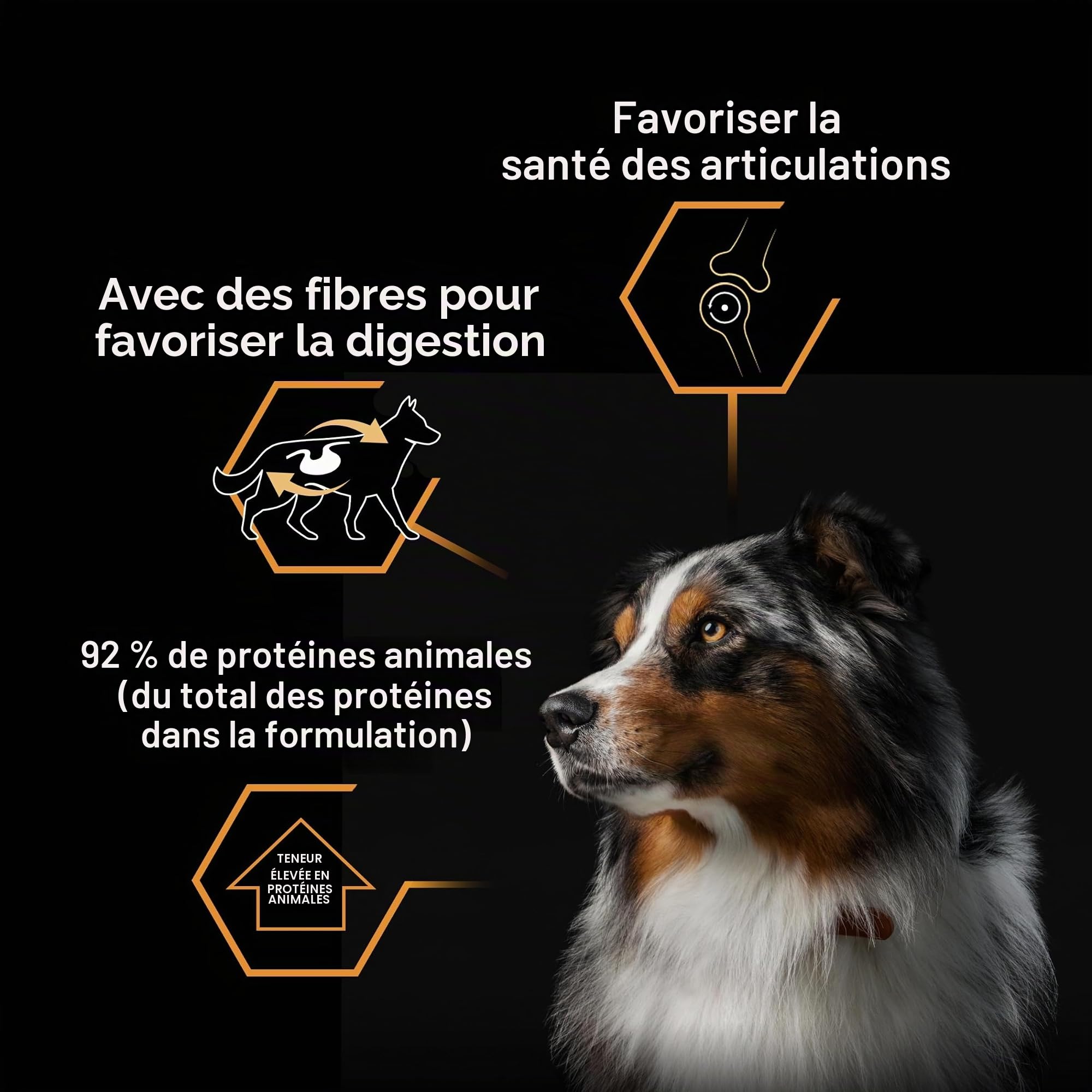 Purina Pro Plan - pâtée en Gelée pour Chien Adulte Riche en Dinde - x 12