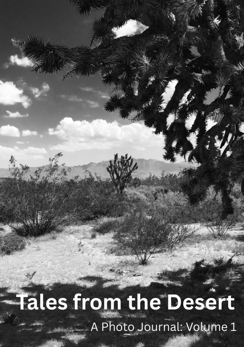 Tales from the Desert: A Photo Journal: Volume 1