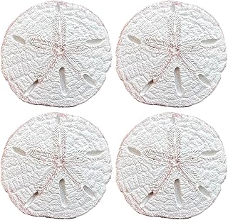 14 Coastal Kitchen Ideas for Breezy Light Relaxed Style 28 Top Brass Realistic Large Sand Dollar Drawer Pulls/Cabinet Knobs (4 Knob...