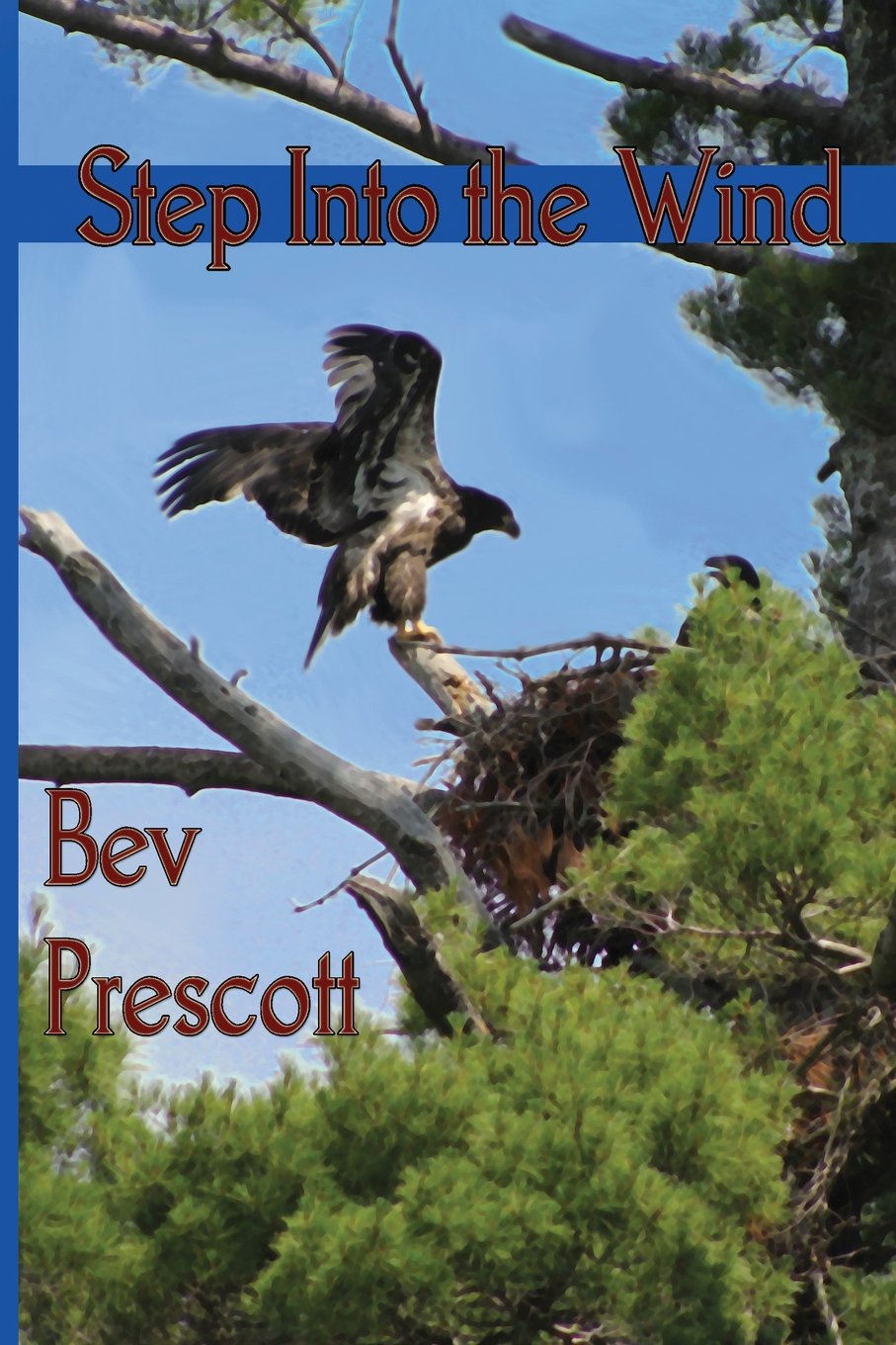 Buy Step Into the Wind — BookShops.in