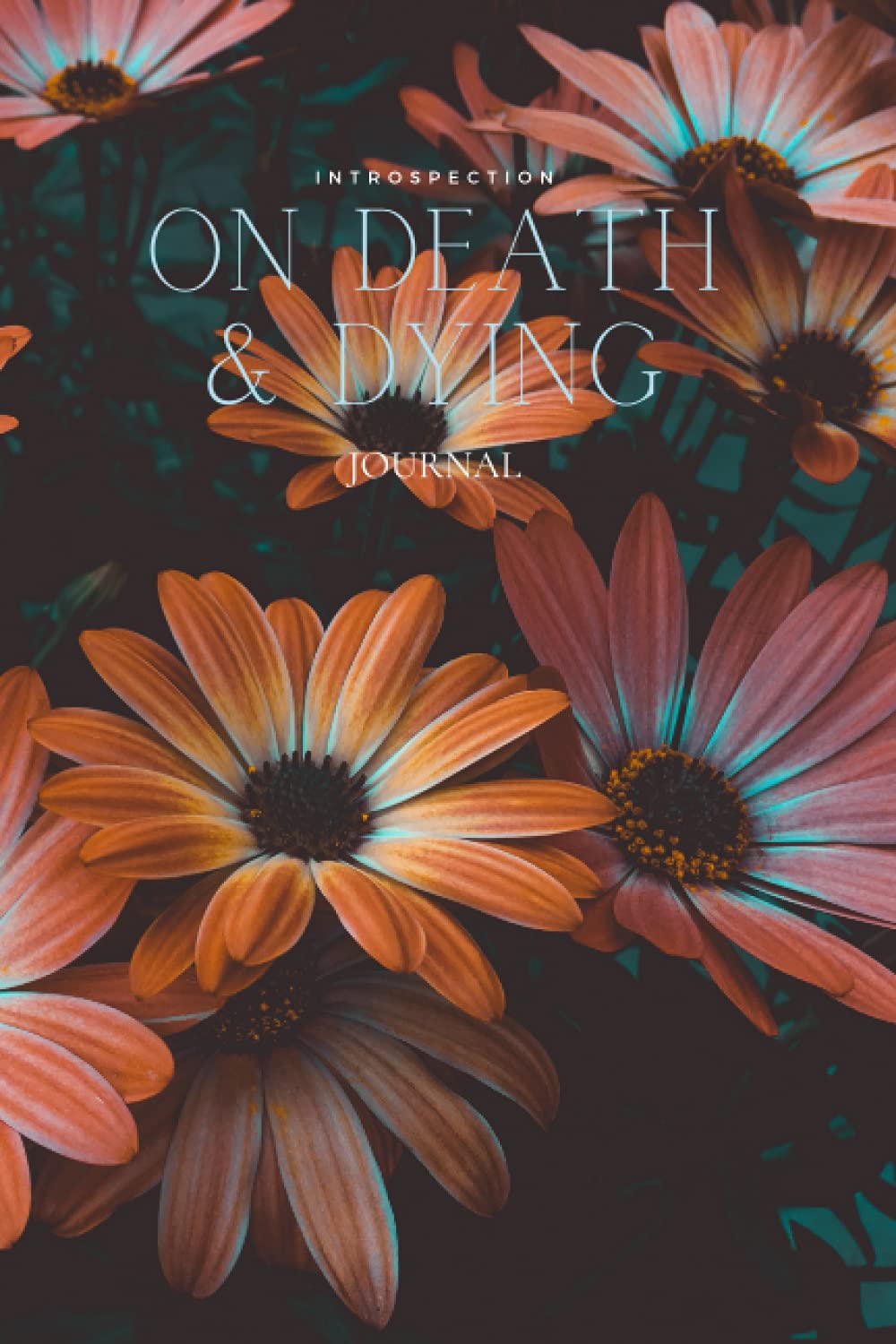 On Death and Dying: Journal Notebook