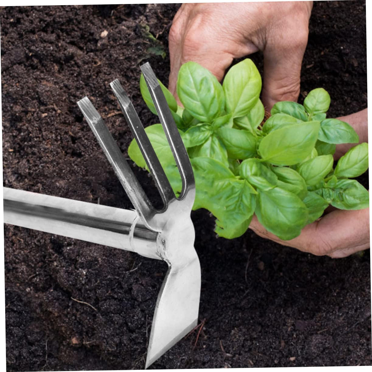 Piccola Vanga in Acciaio Inossidabile per Giardino e Orto, Strumento Manuale per Zappare, Sbattere Terreno, Coltivazione, Giardinaggio, Agricoltura