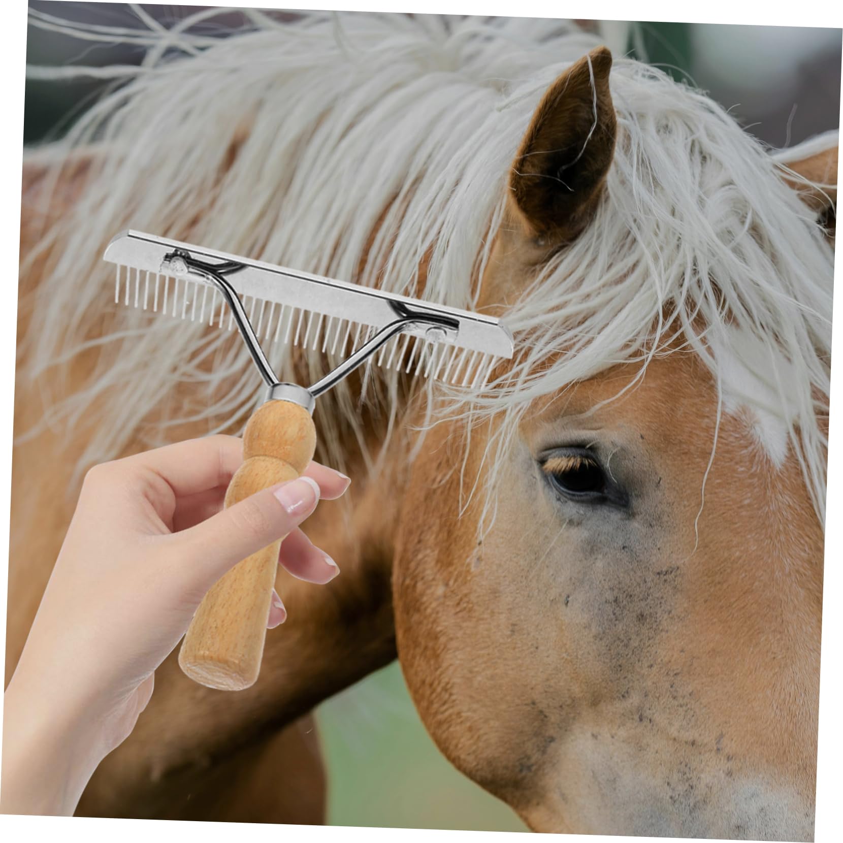 Kisangel 4 Piezas De Peine De Limpieza De Pelo De Caballo Cepillo De Limpieza Accesorio De Limpieza Diseño Sin Diseño