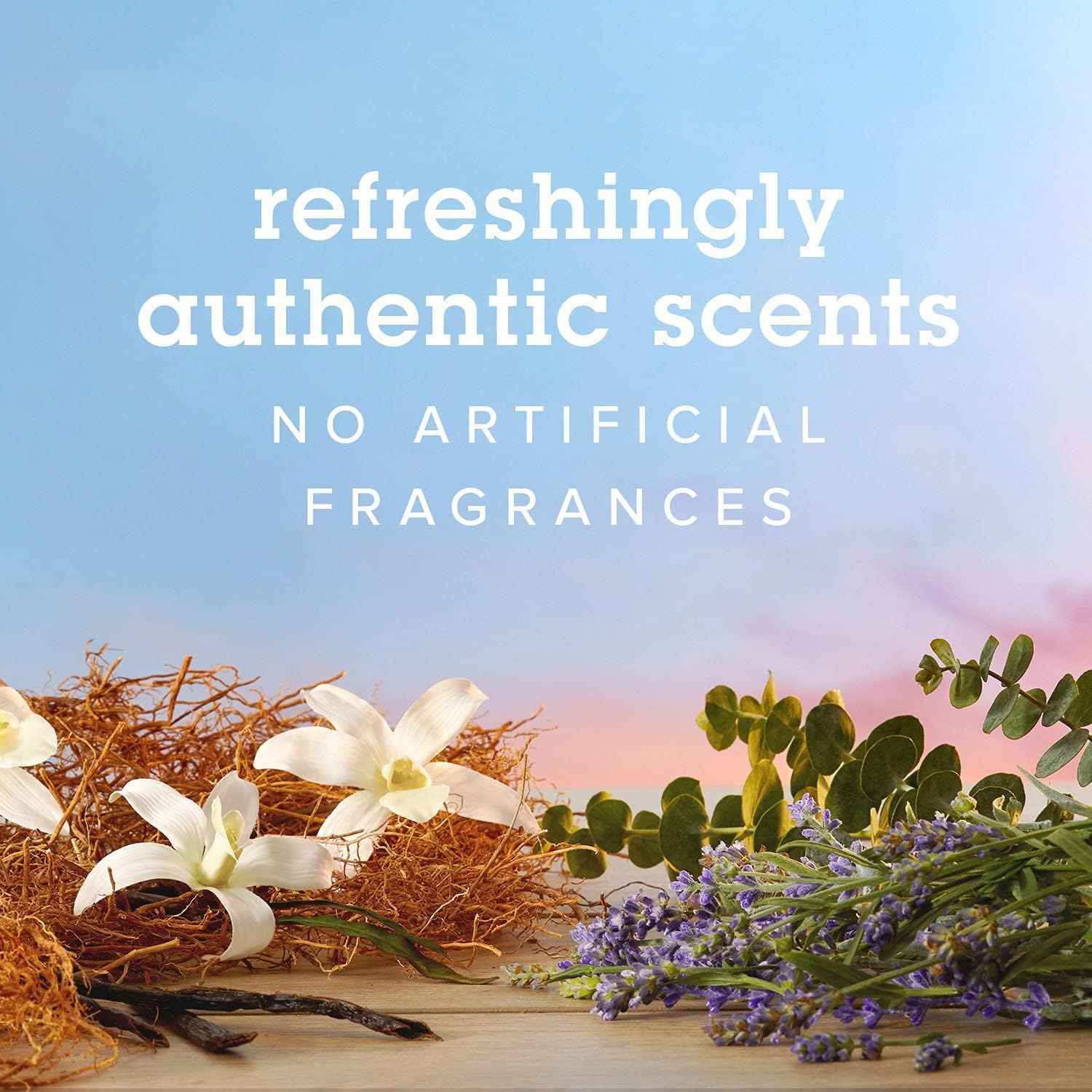 Febreze Fabric Spray, Fabric Refresher Essentials, Odor Eliminator for Strong Odor, Includes Lavender & Eucalyptus Essential Oil, Vetiver & Vanilla Essential Oil, 12.5 Oz (Pack of 3) : Everything Else