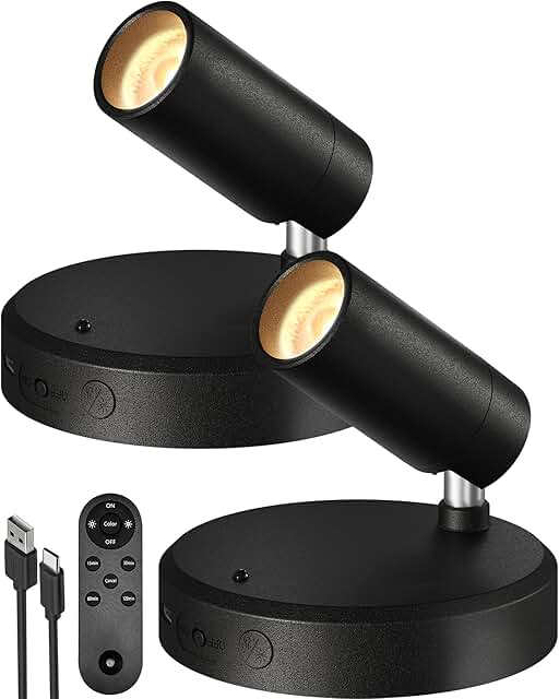 EZVALO Spotlights Indoor with Remote, 5500mAh Rechargeable Picture Light...