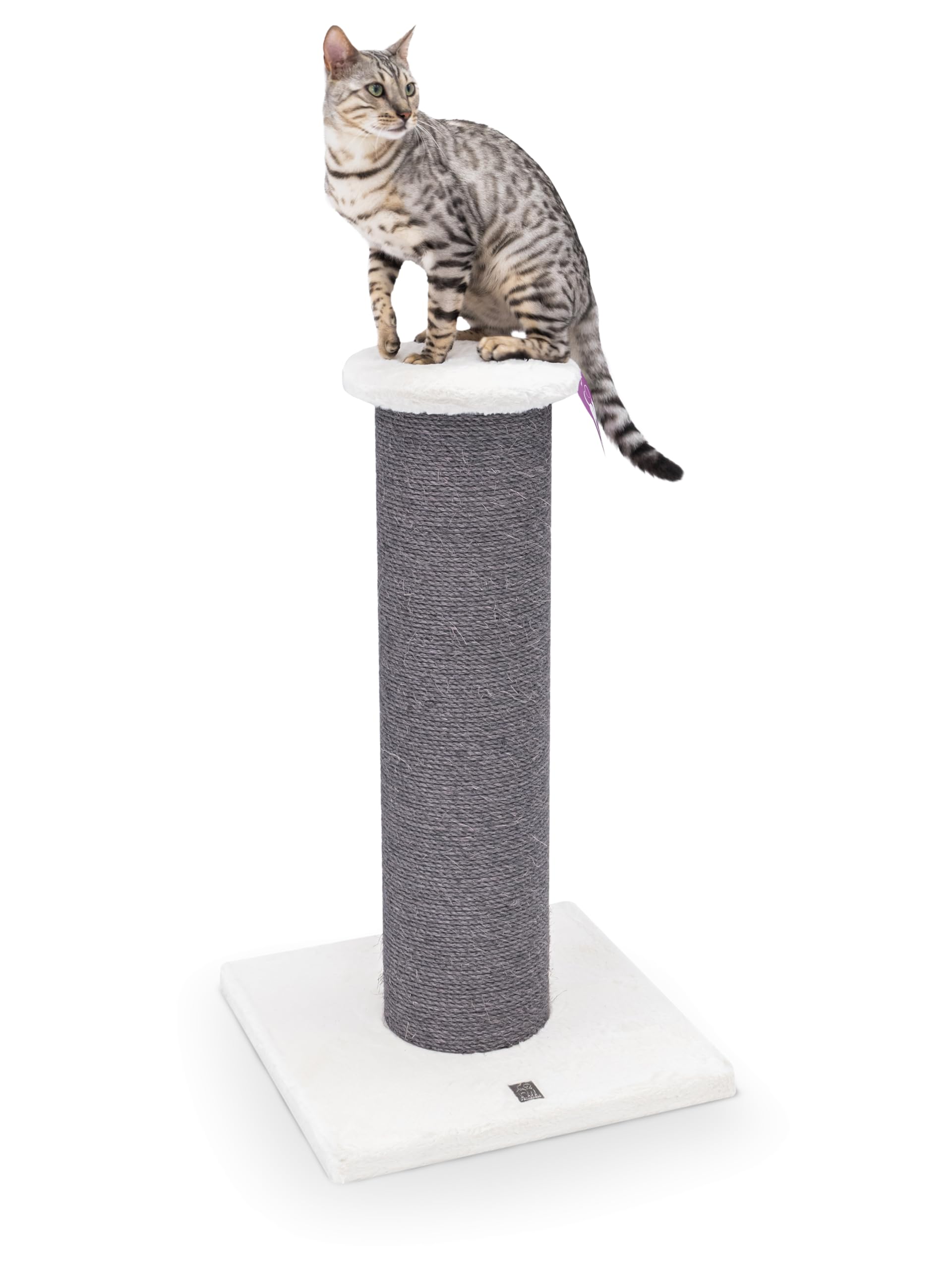 Petrebels XXL Kratzstamm Robust, Grosse Katzen, Savannah 86, Off-White | extrem stabiler Kratzsäule, Ø 20 cm Stamm, 86 cm hoch, für große Katze, Maine Coon, Ragdoll, Natur-Sisal, dicke Bodenplatte