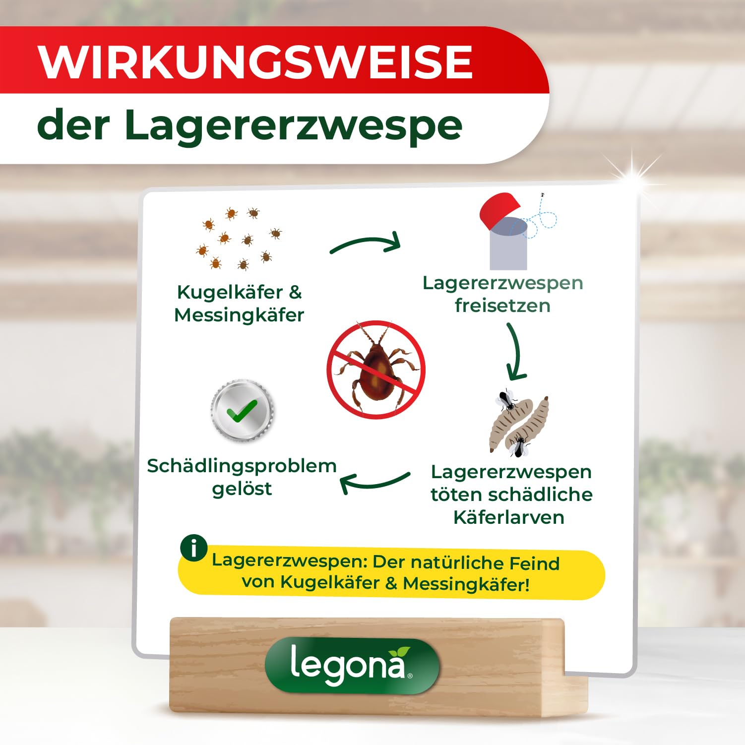 Legona Lagererzwespen gegen Kugelkäfer und Messingkäfer 1 Röhrchen (10m²) - Materialschutz für Wohnung, Vorrat und Lager