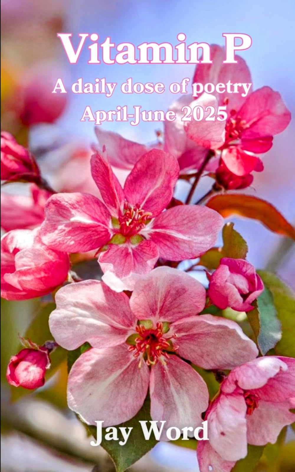 Vitamin P Book 2: A daily dose of poetry April-June 2025