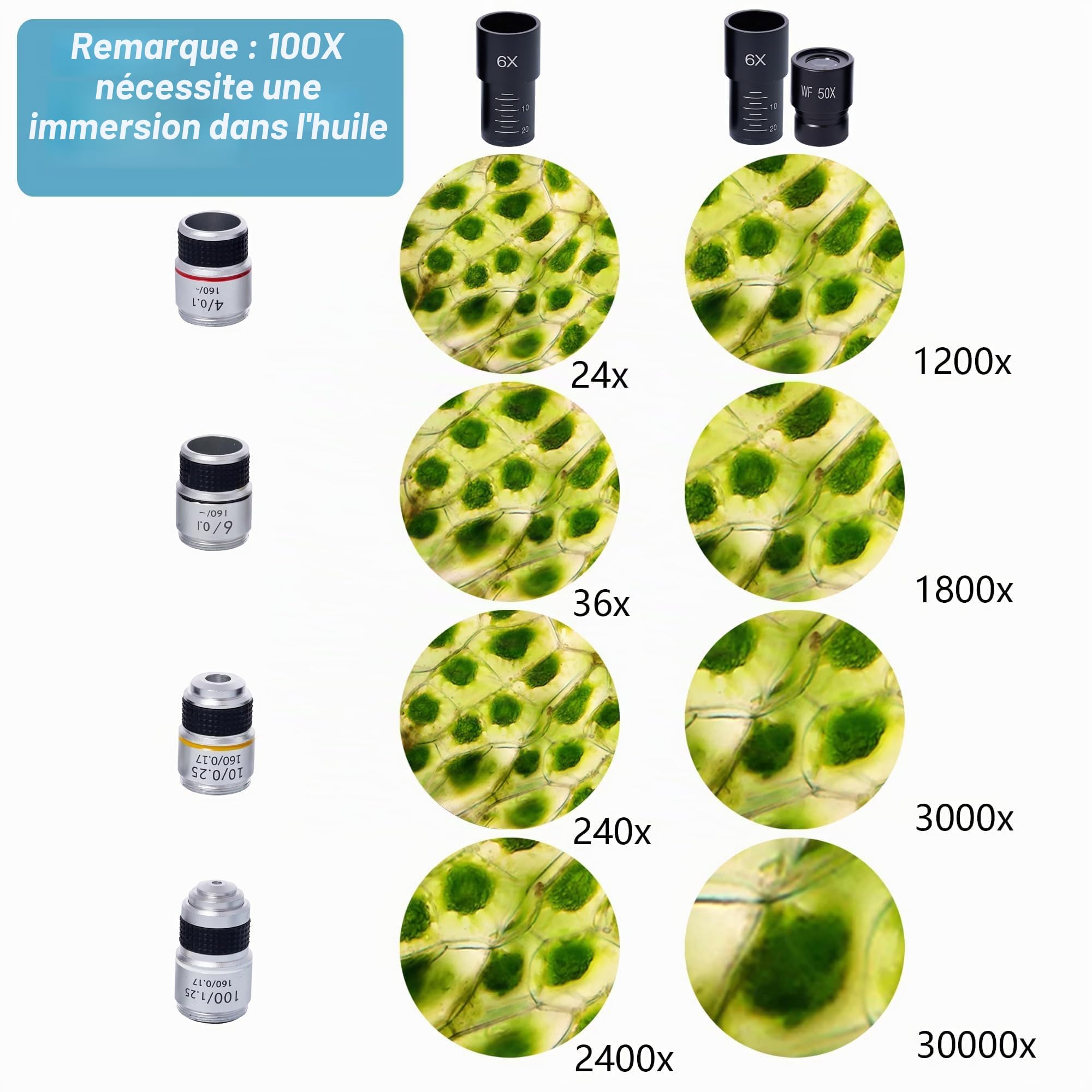 Microscope pour adultes et étudiants, 200X-5000X - Microscopes numériques biologiques binoculaires pour l'éducation à la maison avec oculaire électronique 2 MP, ensemble de lames de microscope