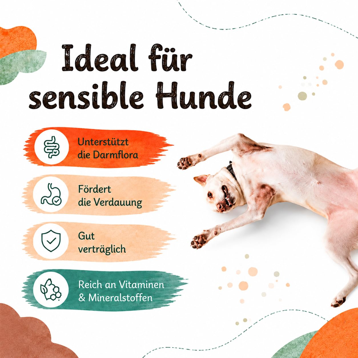 Hundesnack Pferdefleisch getrocknet, 100% natürliches Pferd Hundeleckerli Kauartikel, hypoallergene Belohnung & Trainingssnack für Hunde, Monoprotein, getreidefrei, ohne Zusatzstoffe (1kg)