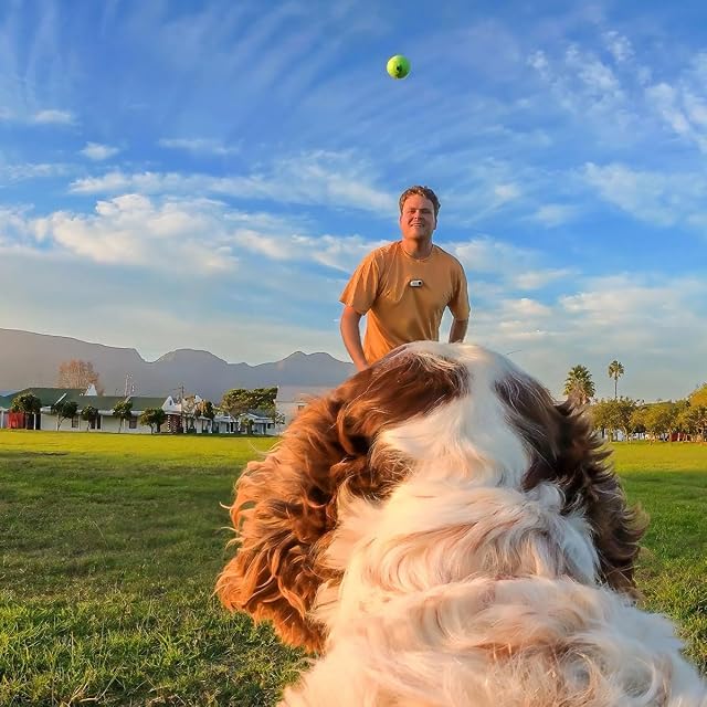 Foto 5 de 6 de Insta360 GO 3/GO 3S - Soporte de arnés para mascotas, talla S (GO Ultra)
