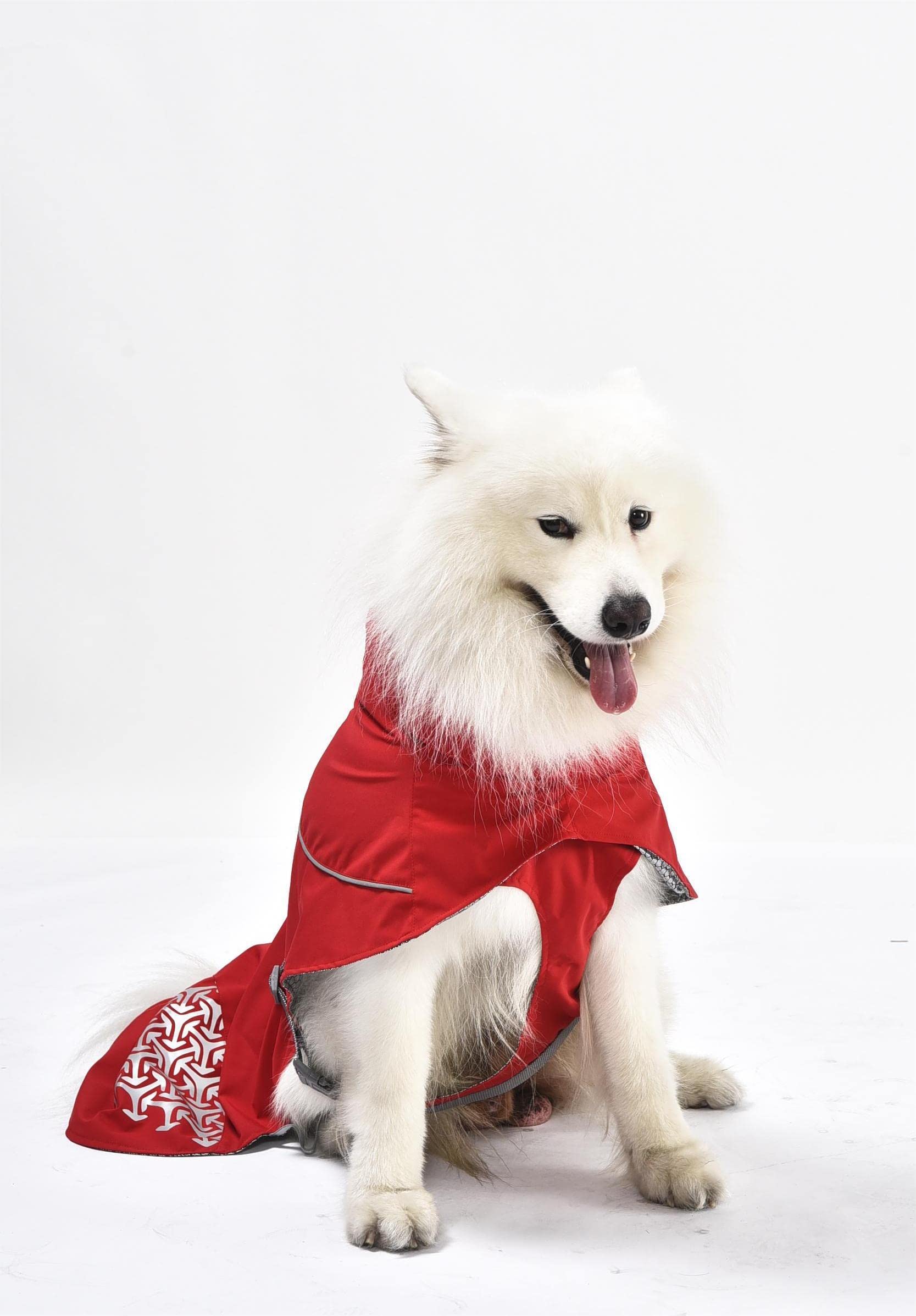 iEnergy™ JUD Hundemantel Hunde Winterjacke windabweisender, ultraleichter und reflektierender Hundemantel für trockene, sichere Gassigänge, Wandern (Rot, Extra Klein)
