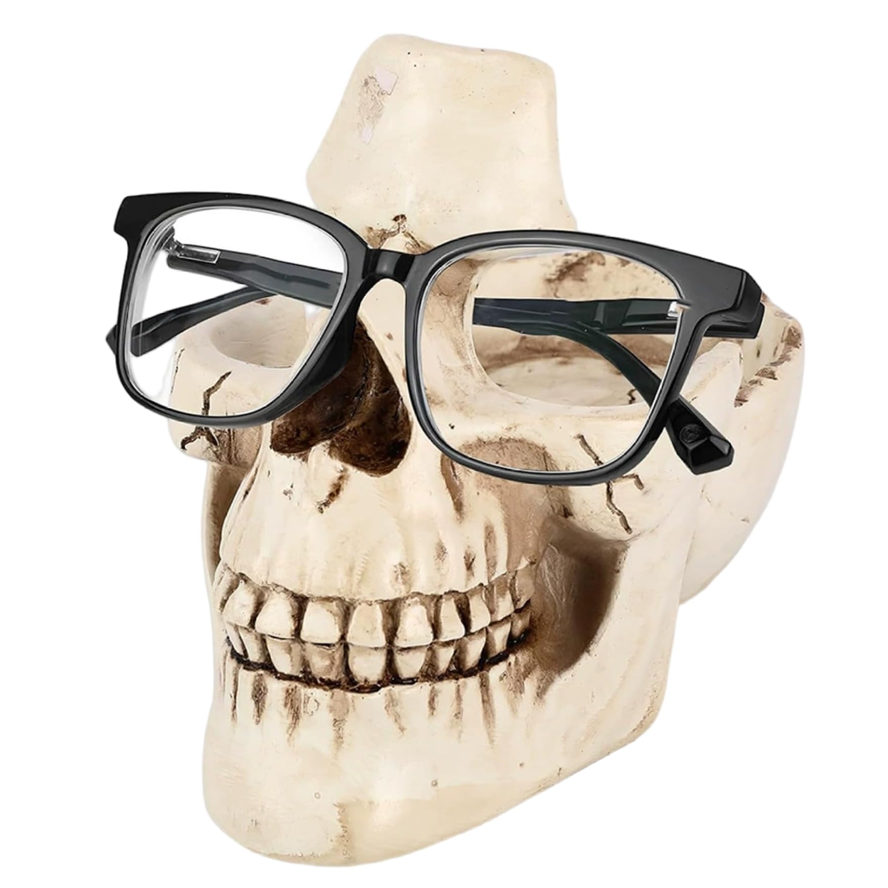 Porte-lunettes tête de mort original présentoir lunettes soleil pour bureau