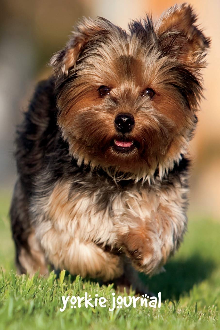 Yorkie Journal: 6 x 9 inch dog notebook, yorkie notebook, wide ruled, lined journal, 200 pages